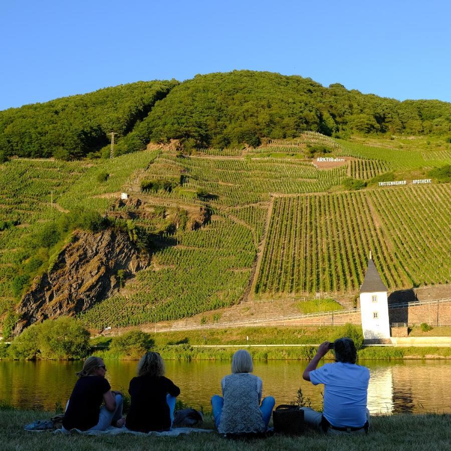 Gaestehaus & Weingut Cluesserath-Weiler Trittenheim Εξωτερικό φωτογραφία